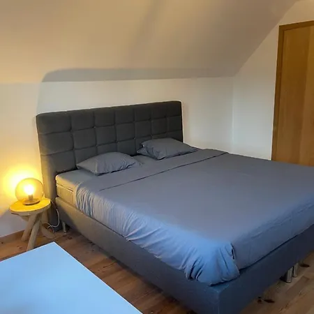 Grote Vakantiewoning Nabij Brugge ! Casa vacanze *